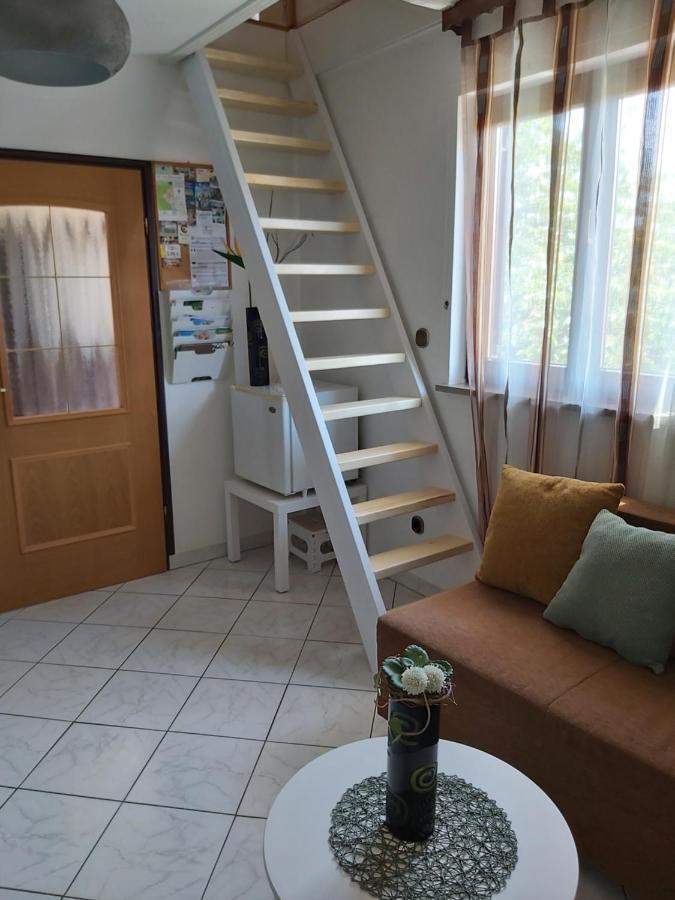 Ferienwohnung Mit 2 Schlafzimmer Oder Studio Apartment - Istrien-Fiorini Brtonigla Bagian luar foto