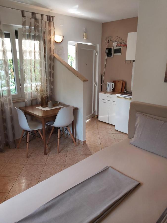 Ferienwohnung Mit 2 Schlafzimmer Oder Studio Apartment - Istrien-Fiorini Brtonigla Bagian luar foto